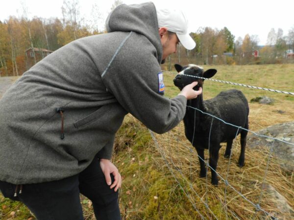 Anorak Vadmal - Bild 4
